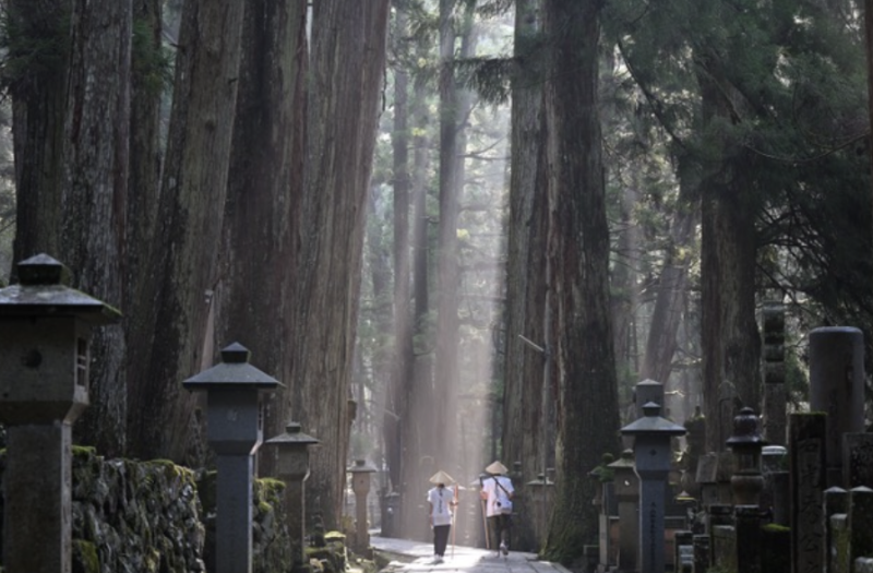 Screenshot 2025-04-08 at 9.32.18 PM